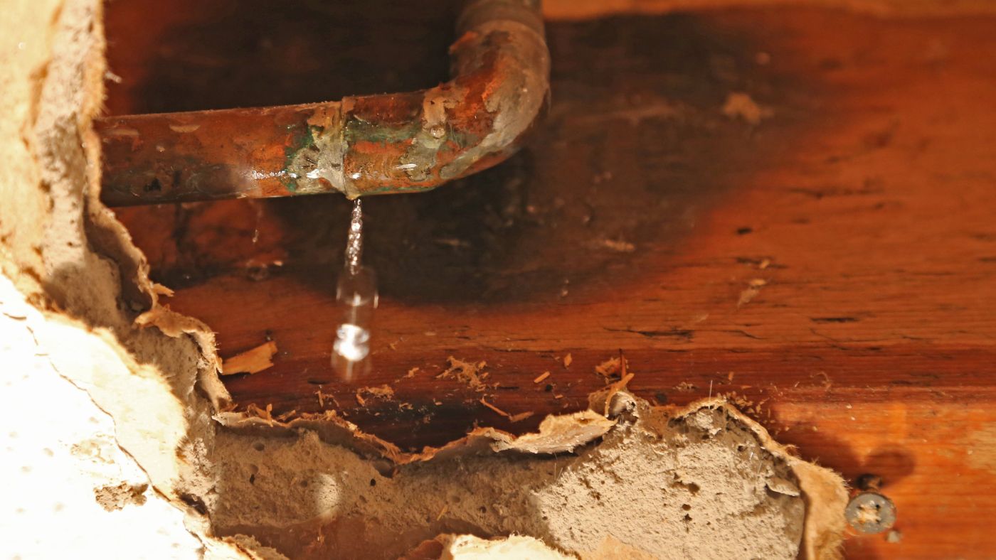 water leak detection fixed water leak detection